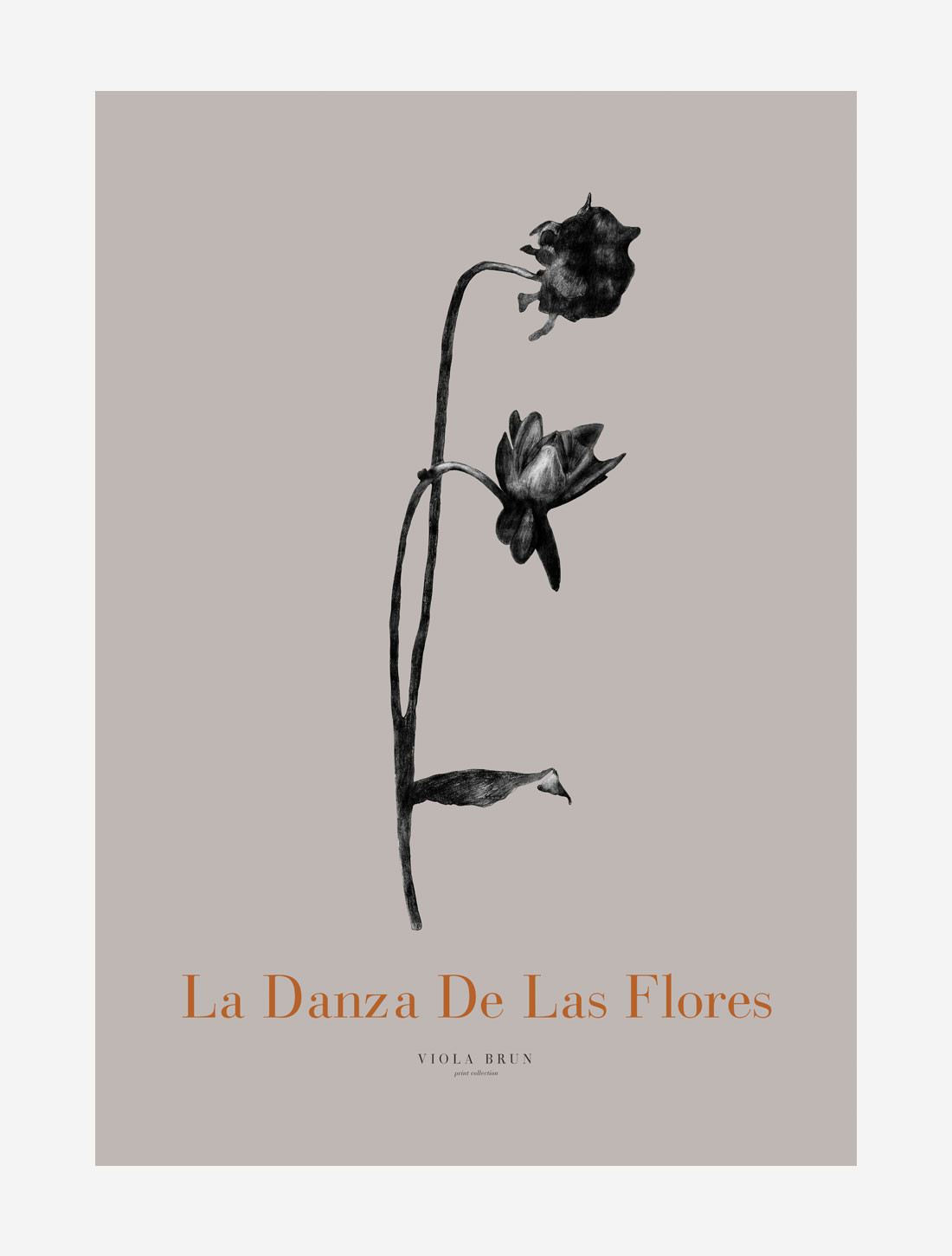 La Danza de la Flores (2.–sortering)