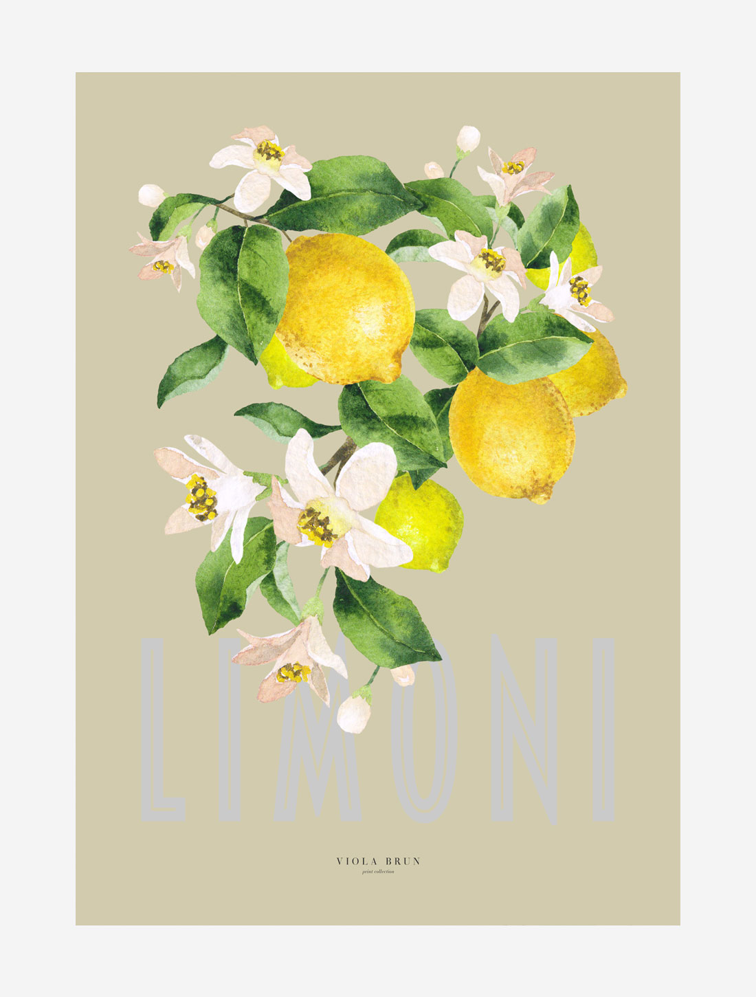 Limoni (2.–sortering)