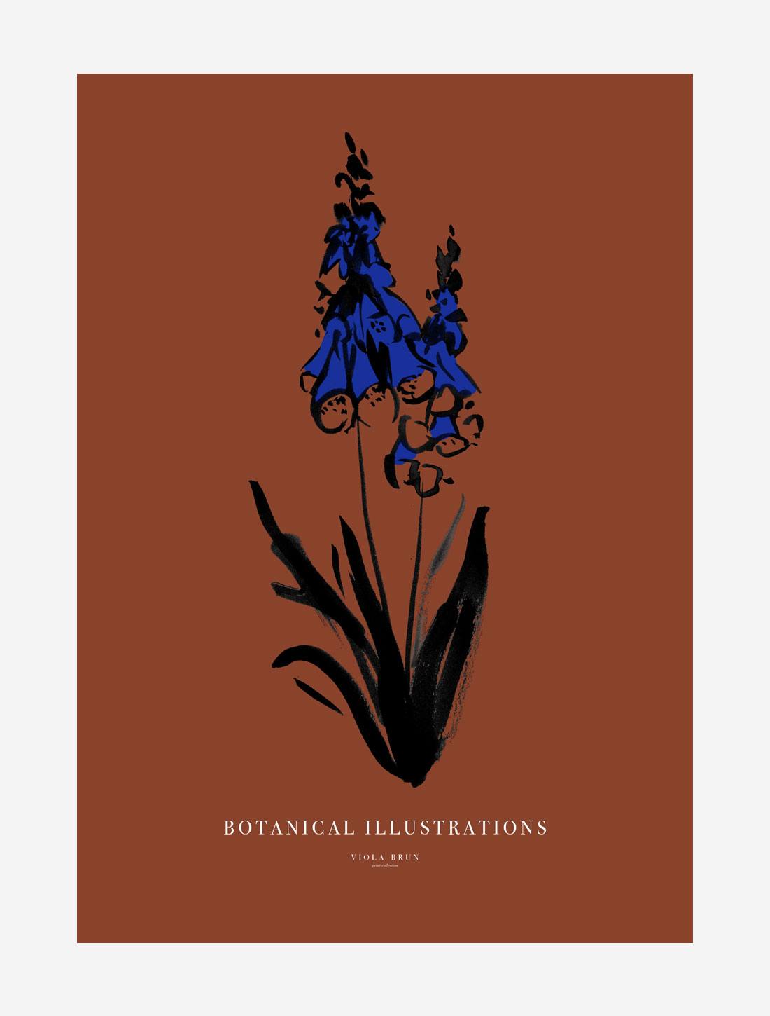 Botanical Illustrations (Foxglove)