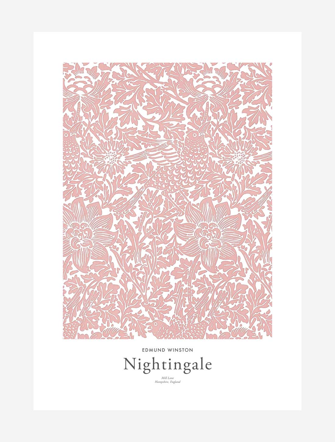 Edmund Winston – Nightingale print