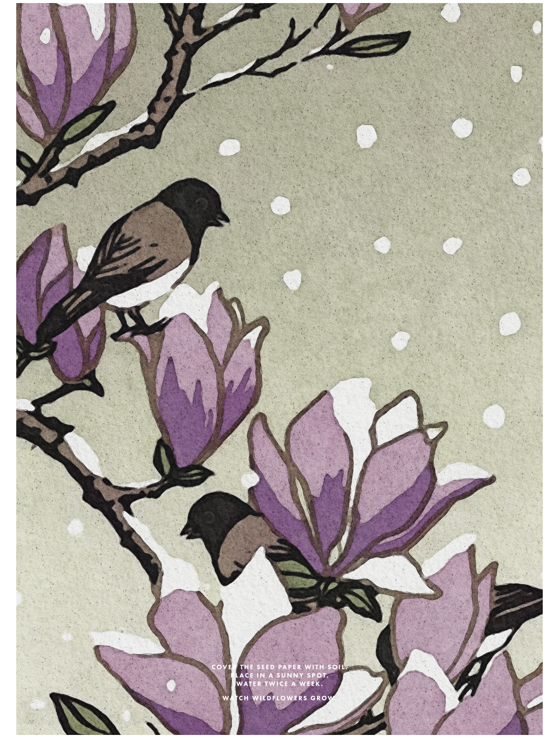 Magnolia in the Snow (Plantekort)